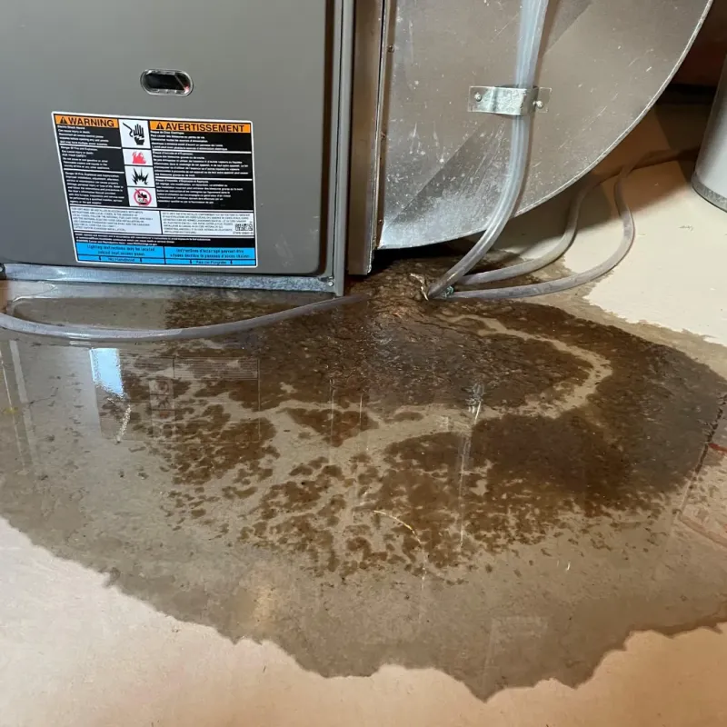 Appliance Leak Cleanup in Peach County, GA